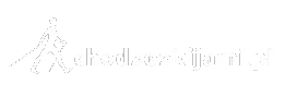 Chodzezkijami.pl by Pixlab